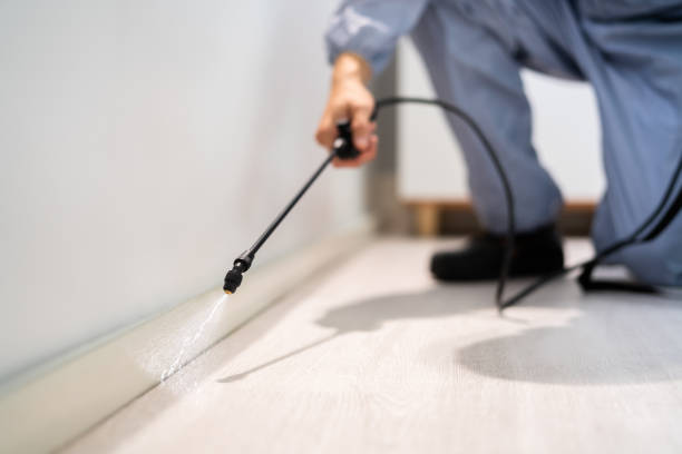 Licensed Ant Control service in Nevada County County, CA - Nex Pest Control